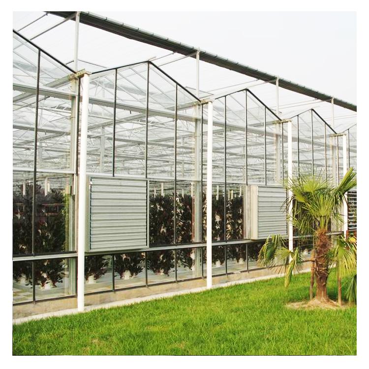 陽(yáng)板溫室建設(shè)觀(guān)光生態(tài)園溫室建造玻璃智能溫室建設(shè)安陽(yáng)鑫海溫室建造最專(zhuān)業(yè)圖片_高清圖_細(xì)節(jié)圖