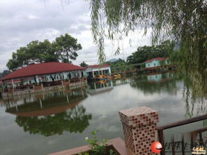 疊彩區休閑農莊生態園 東西都有接手就可以開業位置好客流大