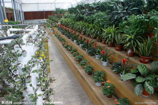 生態(tài)園區(qū) 綠色發(fā)展的視覺盛宴與實踐探索