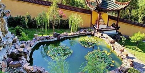 楊氏草莓生態園門票預訂攻略 價格、渠道與游玩指南