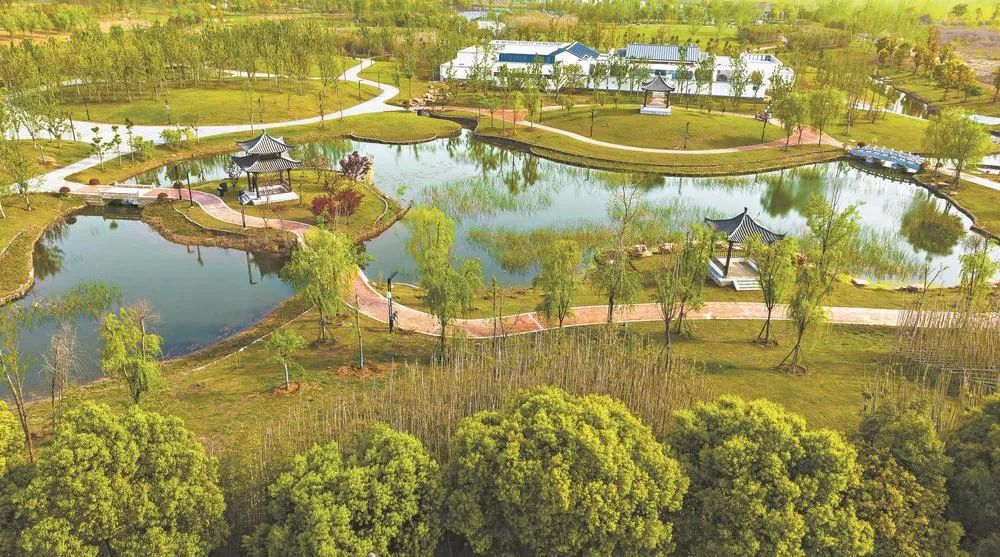 魚梁洲中央生態公園 城市綠肺煥新顏，生態園即將盛大啟幕